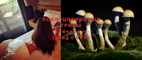 крисы Мегион