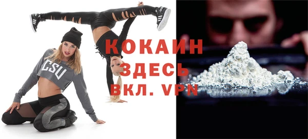 крисы Мегион