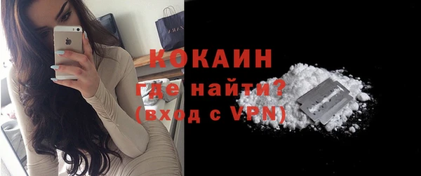 крисы Мегион