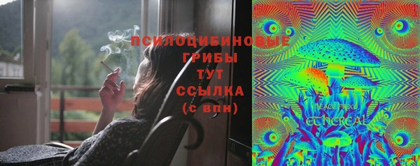 ECSTASY Медногорск