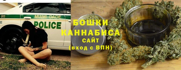 крисы Мегион