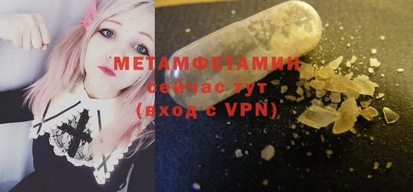 крисы Мегион